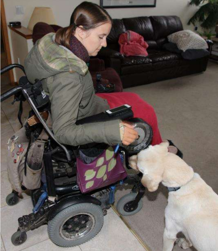 Woman in a wheelchair playing with a white dog beside her